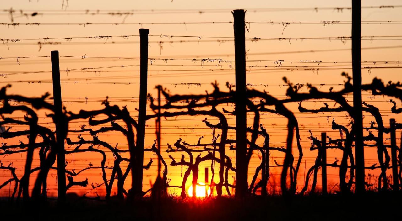 Poggio Al Casone Farm stay *