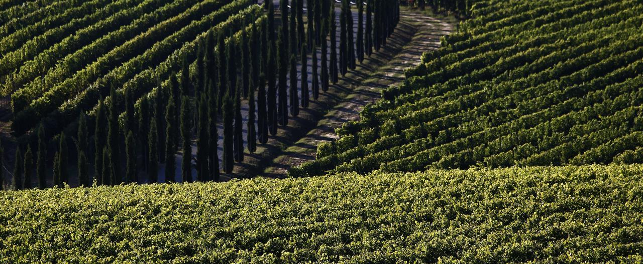 Agroturismo Poggio Al Casone Crespina